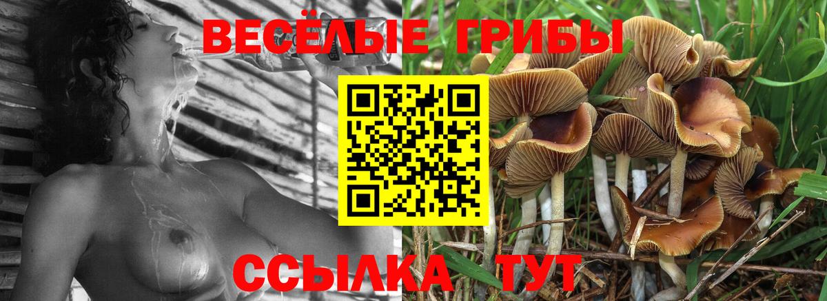 Галлюциногенные грибы Cubensis  Вход с VPN  Казань 